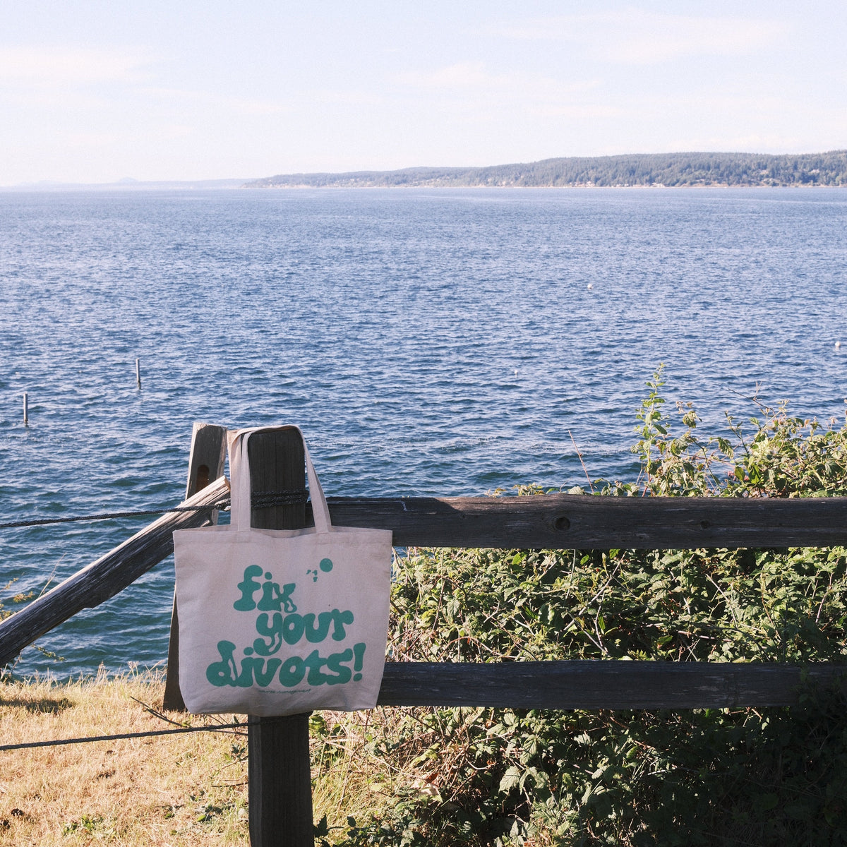 A white tote bag with green handwritten text reading 'Fix Your Divots' hanging from a dark metal railing next to a scenic view of a large blue body of water.